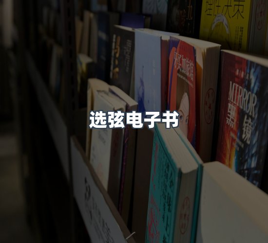 关于选弦电子书